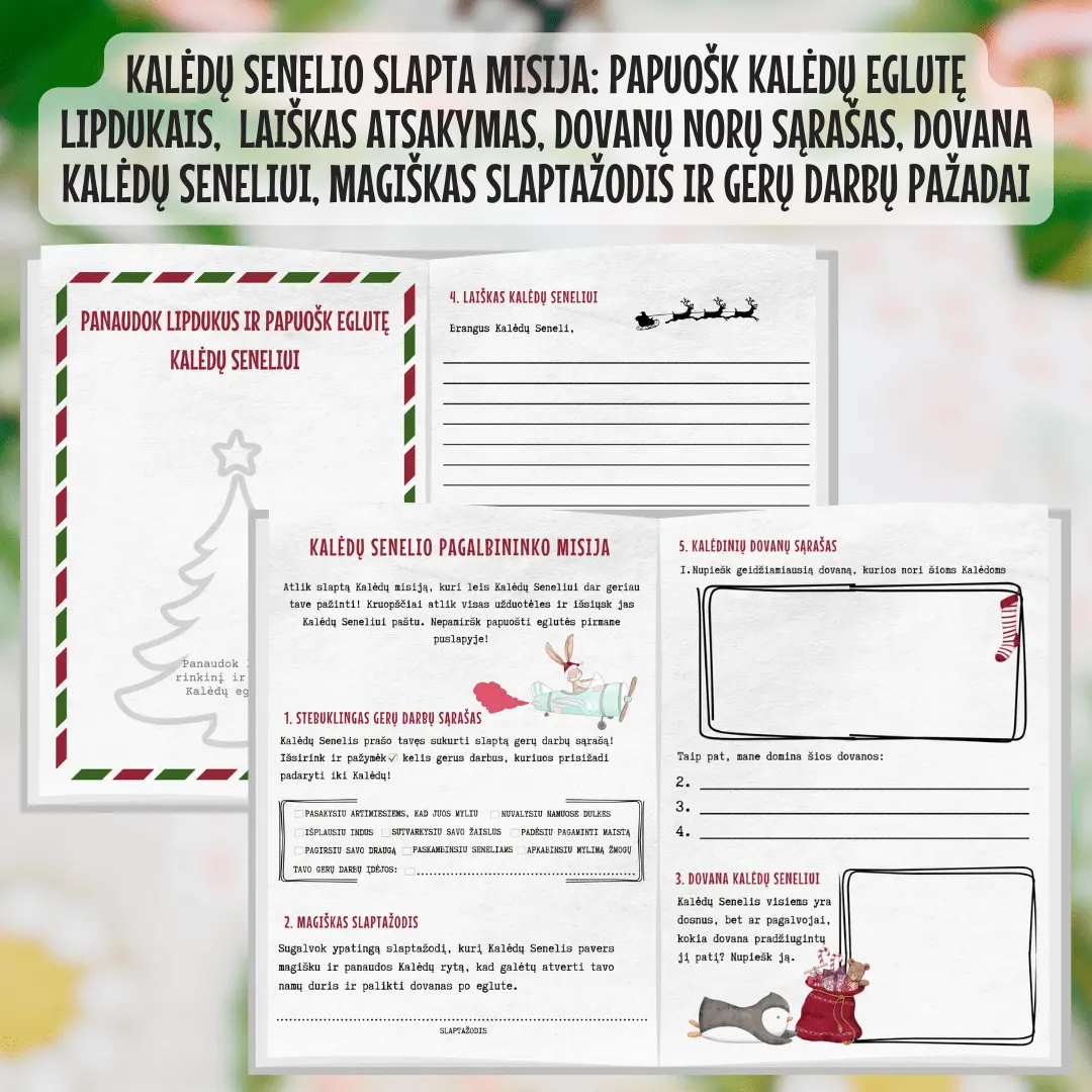 Slapta Kalėdų Senelio misija