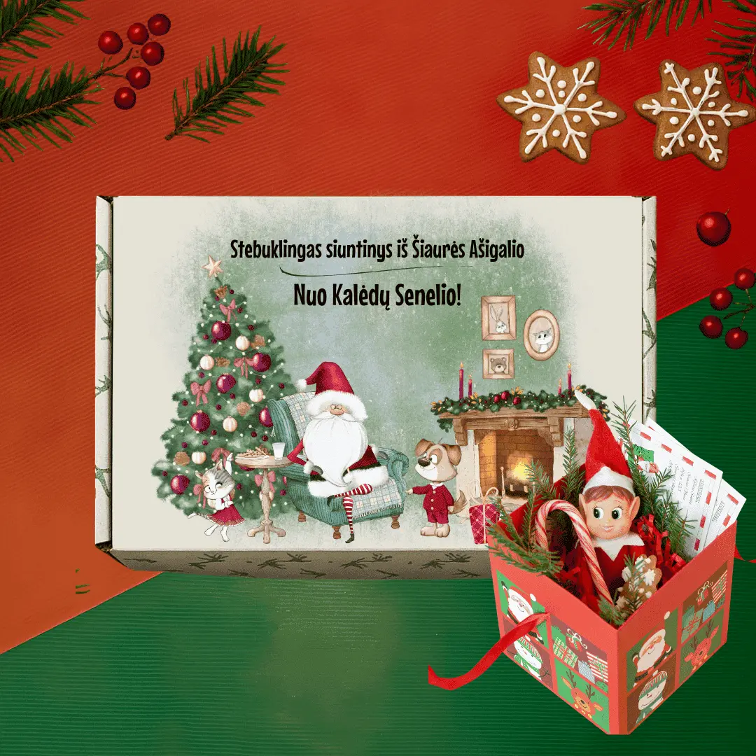 Kalėdų Senelio dėžutė ir Išdykęs elfas